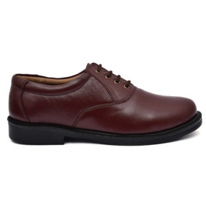 brown shoe
