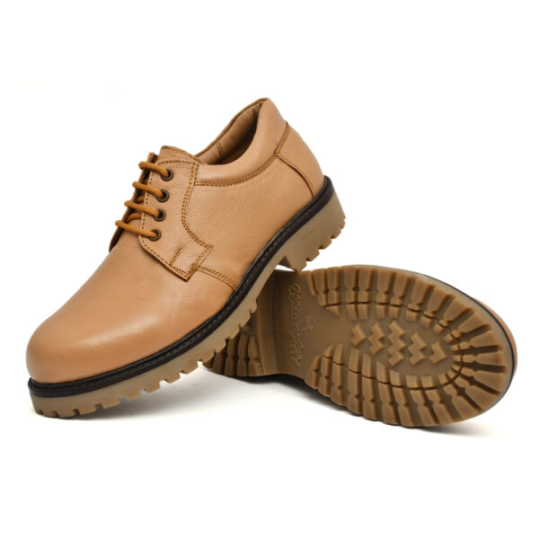 beige shoe